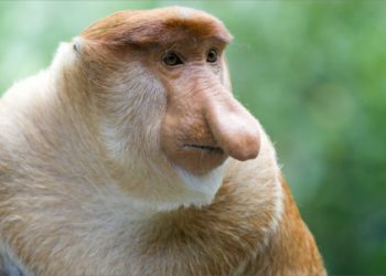 Comment séduire lorsque l’on n’est pas un top model ?