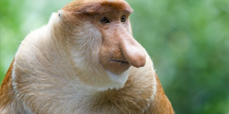 Comment séduire lorsque l’on n’est pas un top model ?