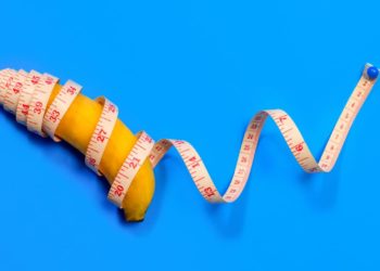 Taille du pénis : la vérité vraie