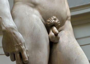 L’évolution du pénis à travers l’histoire