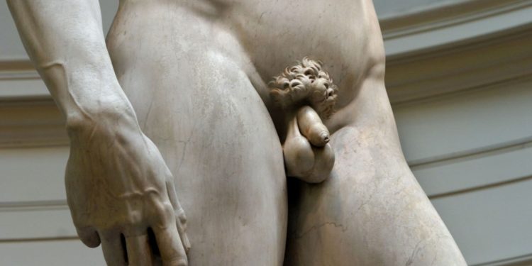 L’évolution du pénis à travers l’histoire