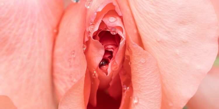 How to give your partner multiple orgasms?